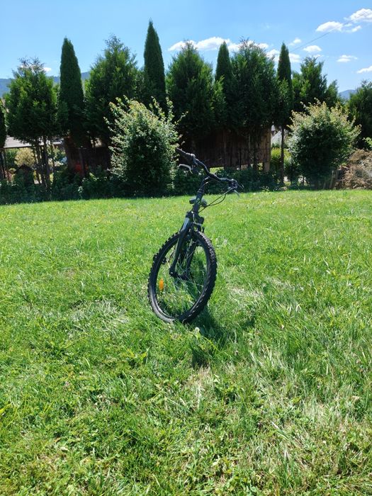 Rower CTM Berry koło 2.0