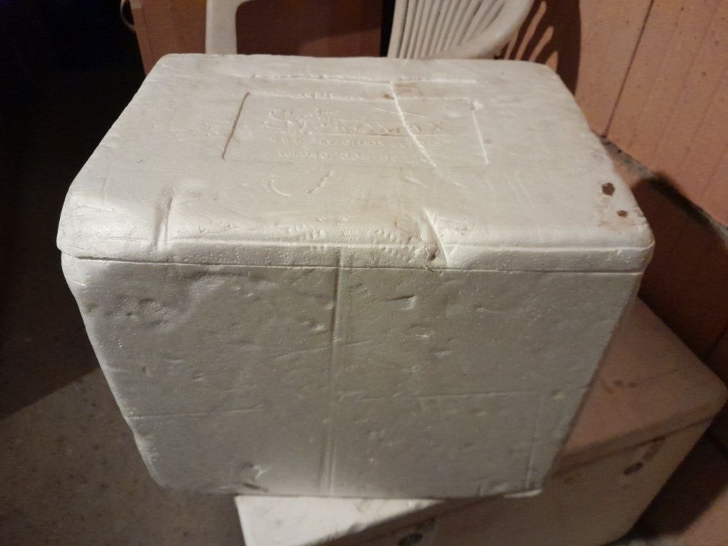Pojemnik termoizolacyjny duży 40x34x30cm