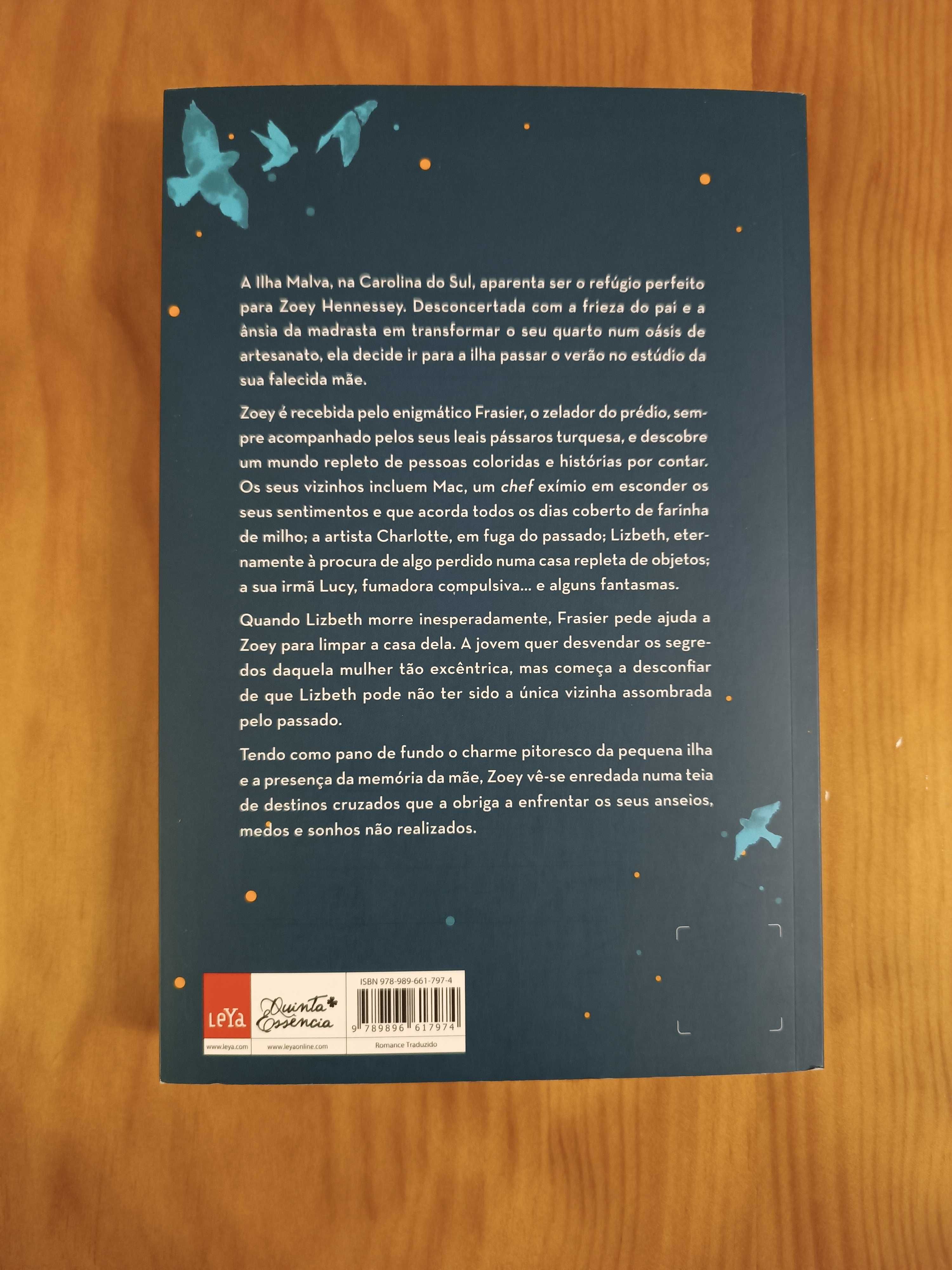 [NOVO] Outros Pássaros, Addison Allen