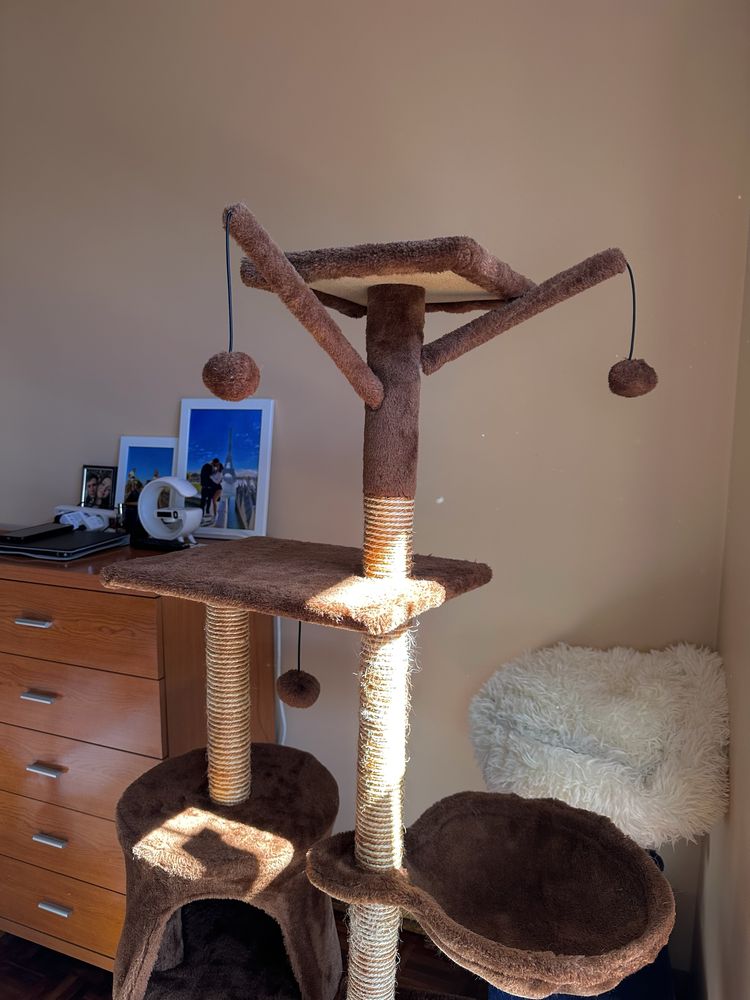 Árvore Para Gatos