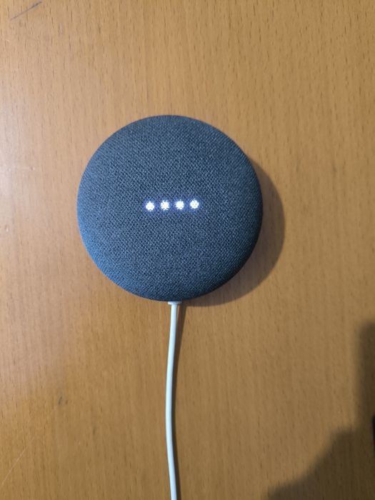 Google Nest Mini