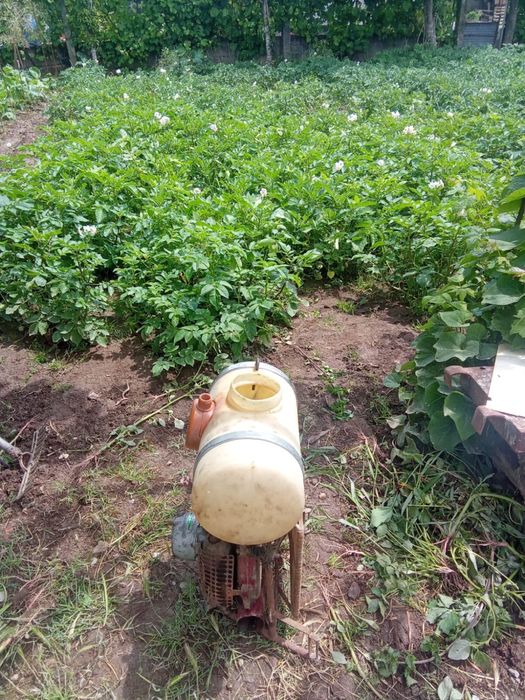 Máquina Sulfatar Casal