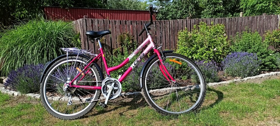 Różowy rower miejski