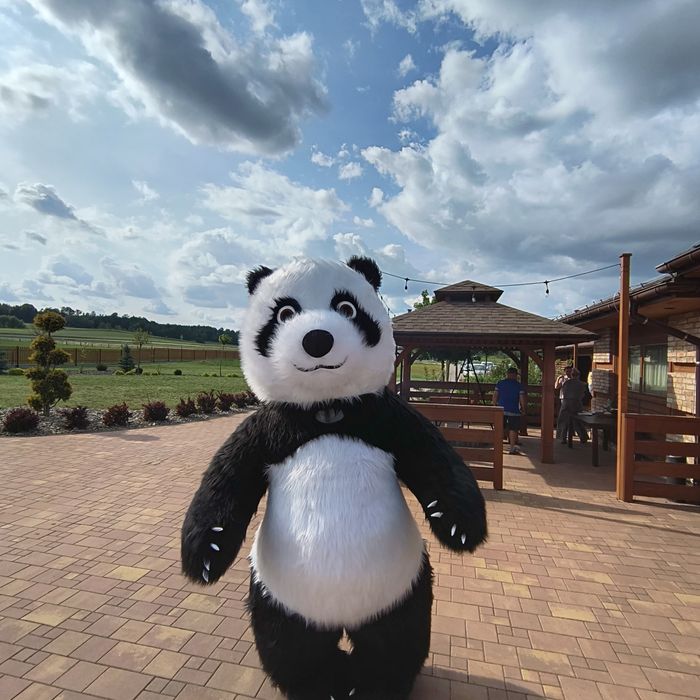 Wynajem dmuchańce basen wodny zjeżdżalnie Piana party Miś 2,6m domek