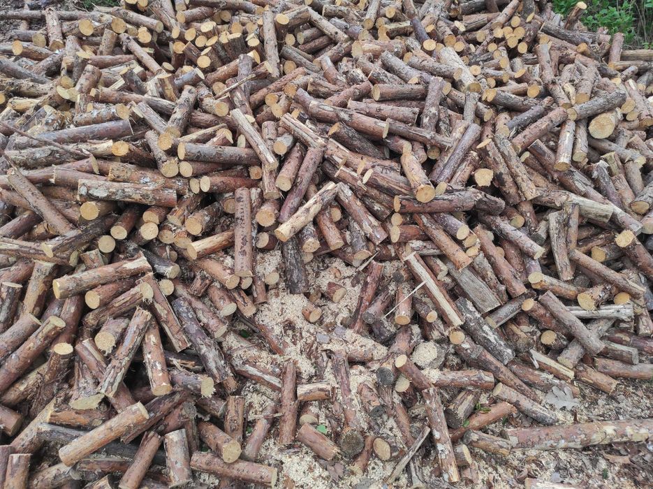 Drewno opałowe Sosna workowane i sypane luzem