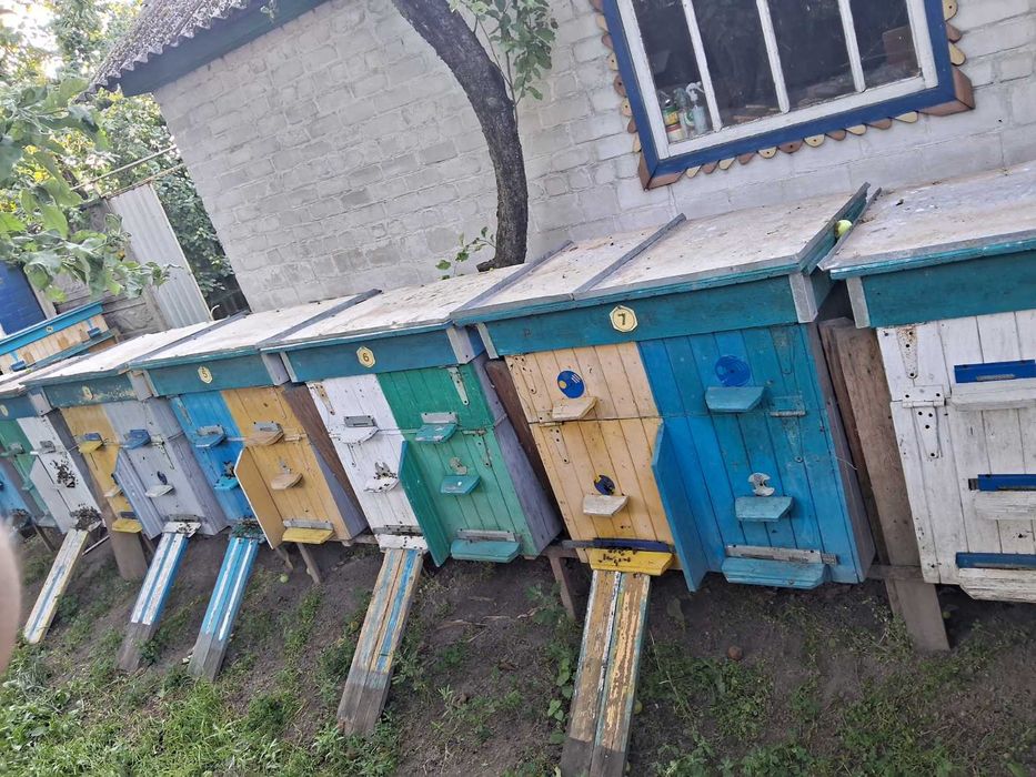 Продам вулики від 1200 грн