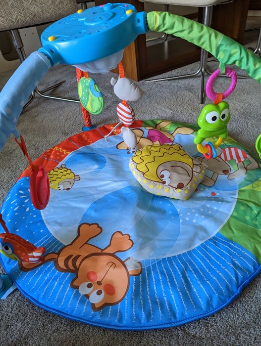 Ginásio / tapete de atividades