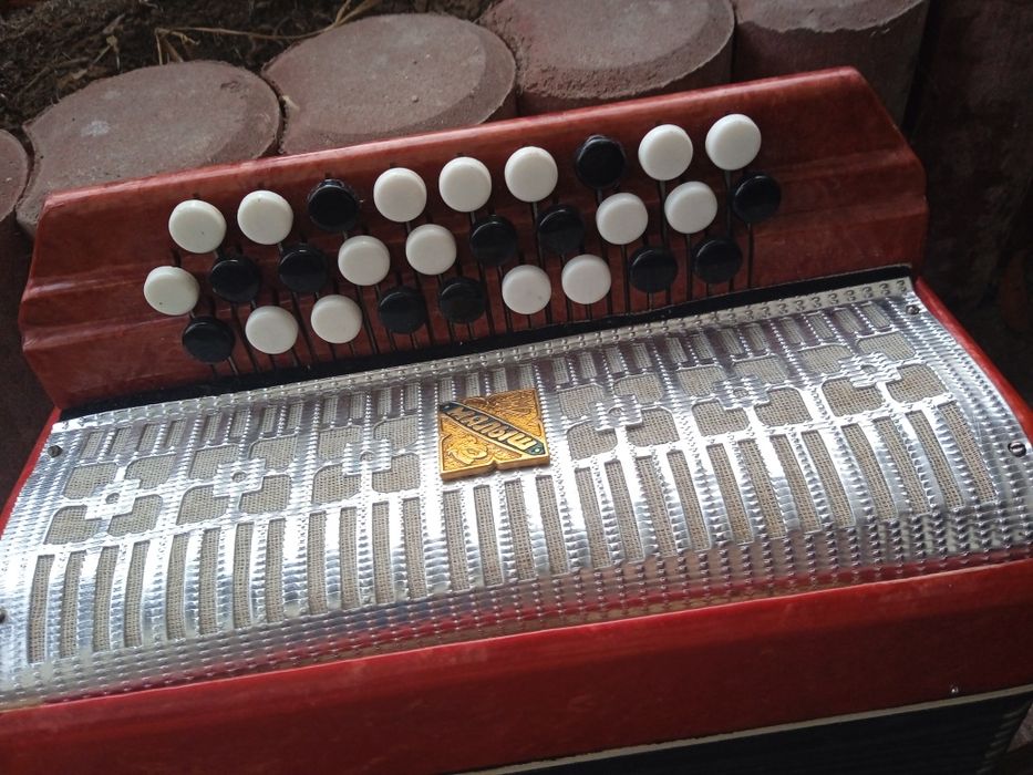 Akordeon guzikowy dla dziecka