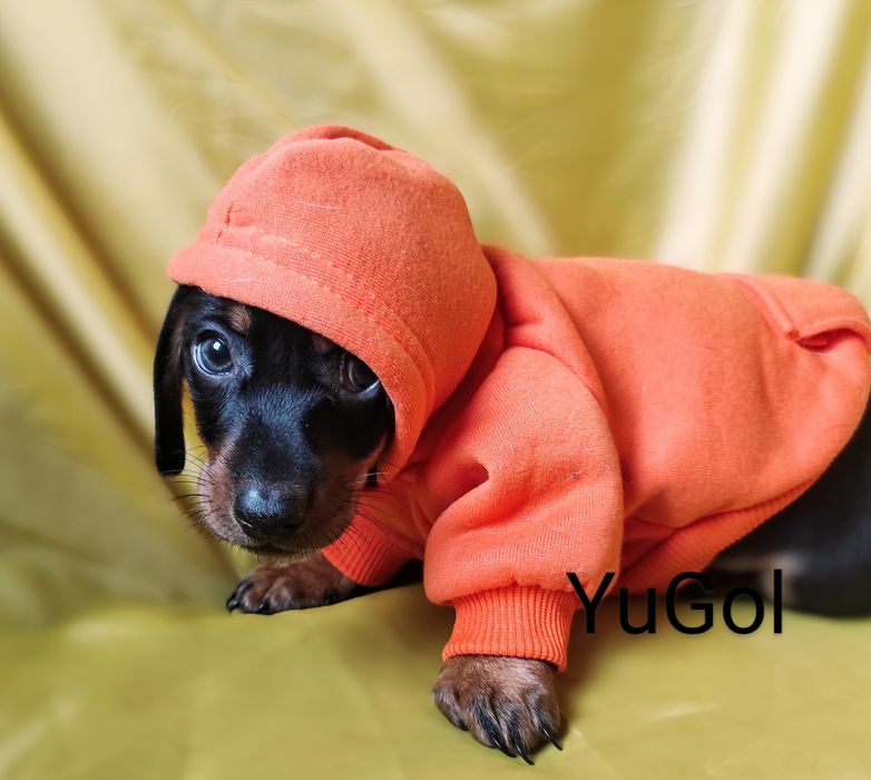 Хлопчик -міні з документами