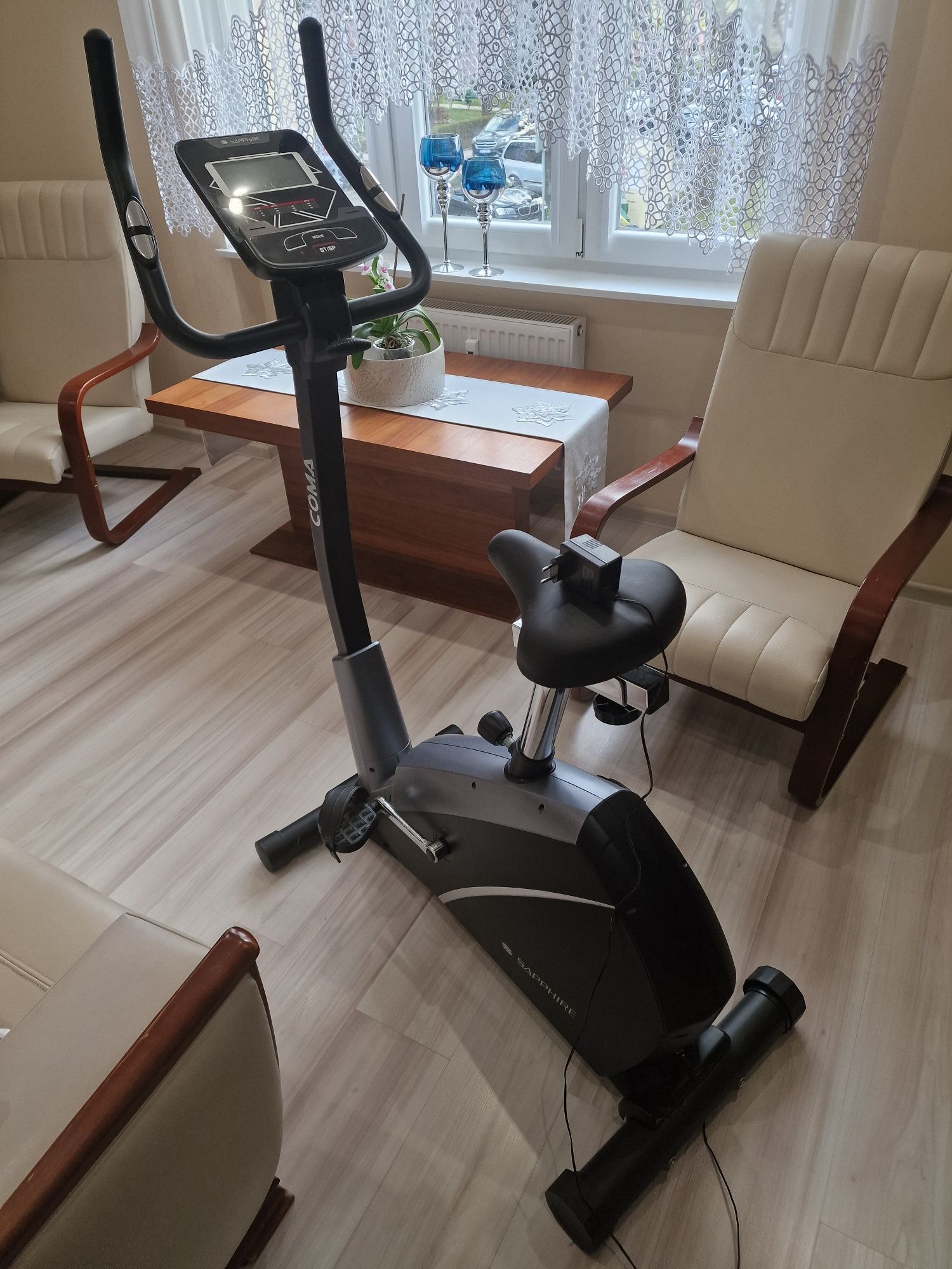 Rower Stacjonarny Treningowy Elektromagnetyczny Saphire