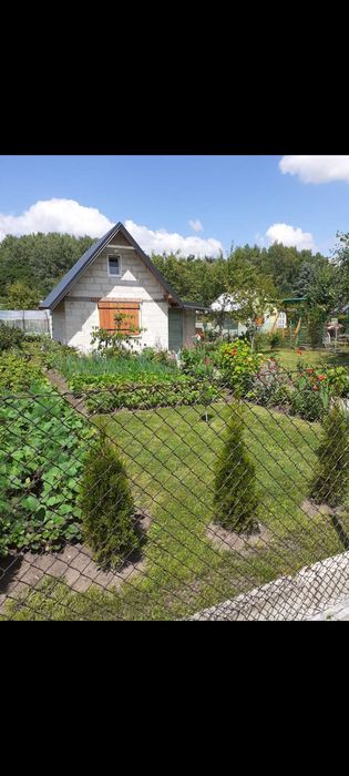 Sprzedam działkę ROD ,Semafor" w Olsztynie