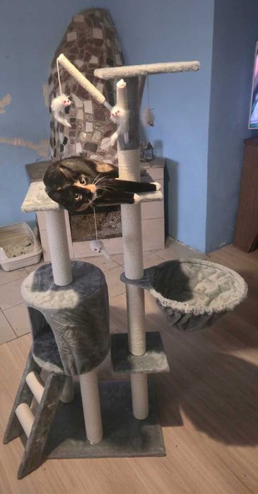 NOWY Drapak Dla Kota Wysoki Wielopoziomowy 138cm Domek Hamak