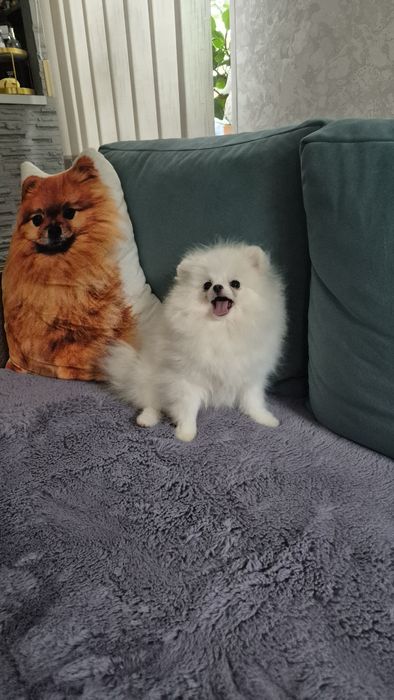 Гарненька дівчинка