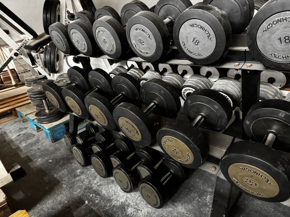 Halteres de ginásio Technogym profissionais