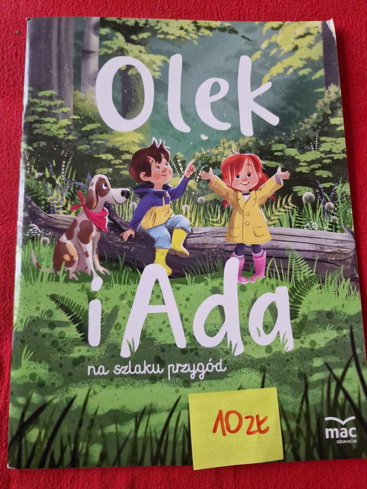 Olek i Ada na szlaku przygód