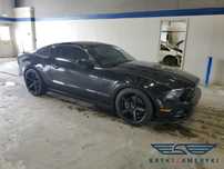 Ford Mustang Mustang GT V8 5.0