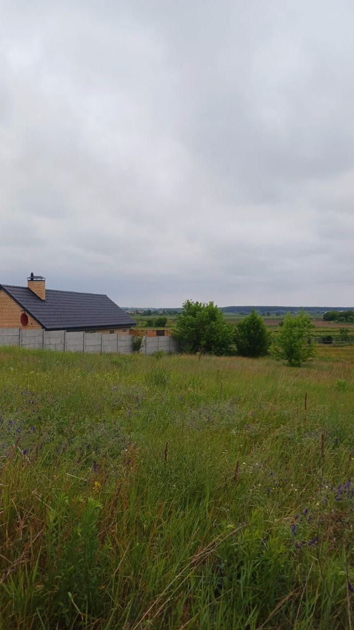 Унікальна пропозиція. Лука. Краєвиди. Річка.