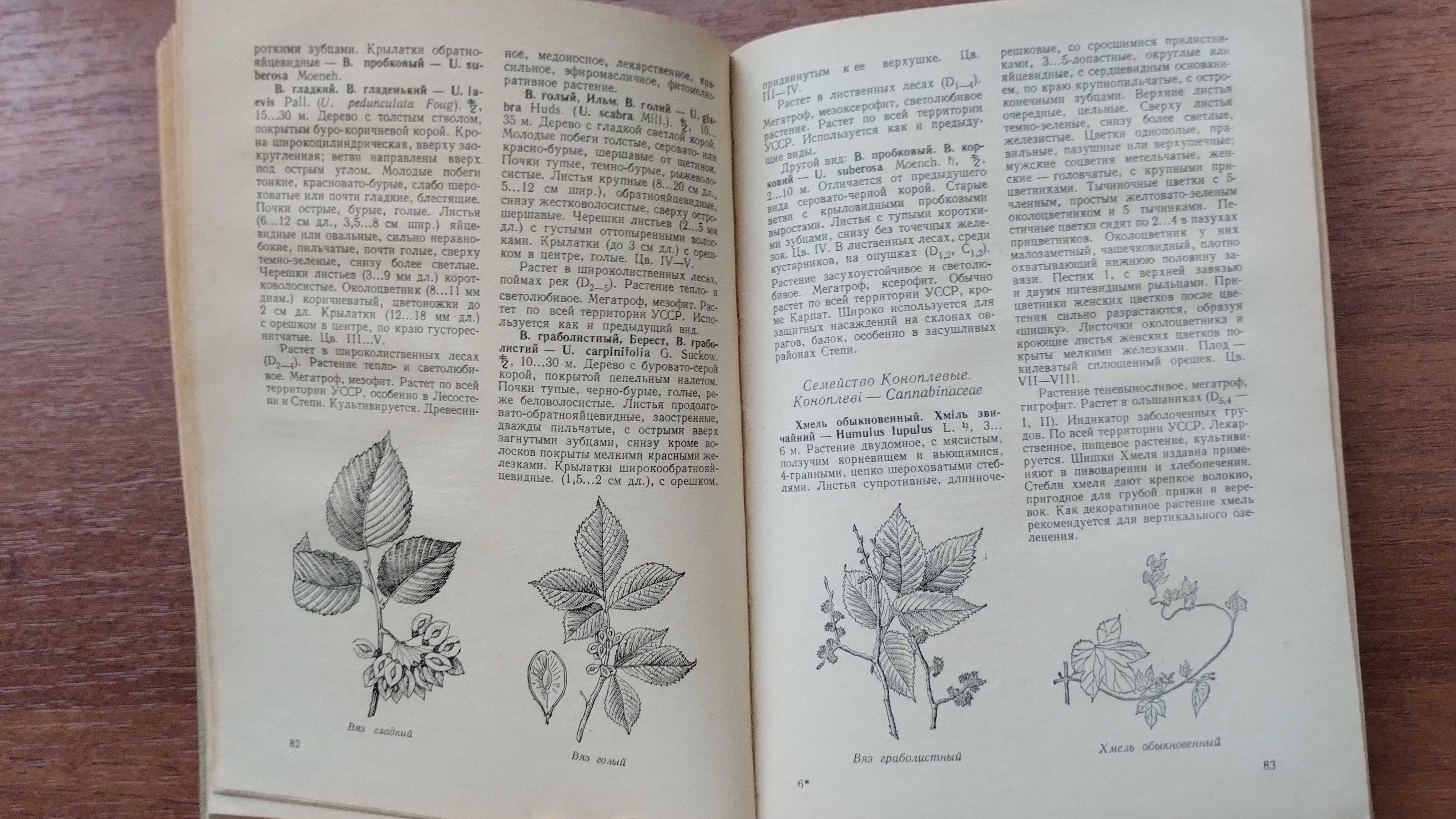 Определитель растений лесов УССР (Бельгард)
