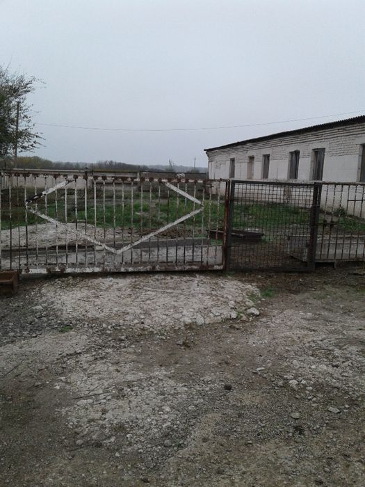 Продам отдельностоящую животноводческую ферму в Криворожском районе