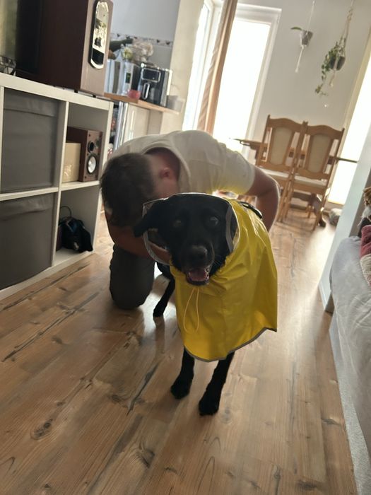 Plaszczyk przeciwdeszczkowy dla psa 20-30kg około