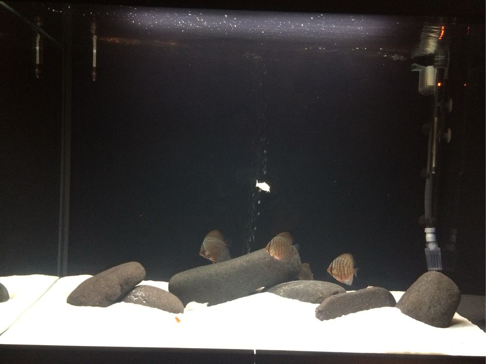 Aquario 400lts - A70xL0,50xC1,00