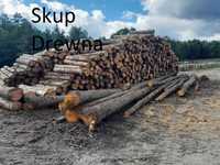 skup drewna  tartak kupi drewno turek konin koło okolice
