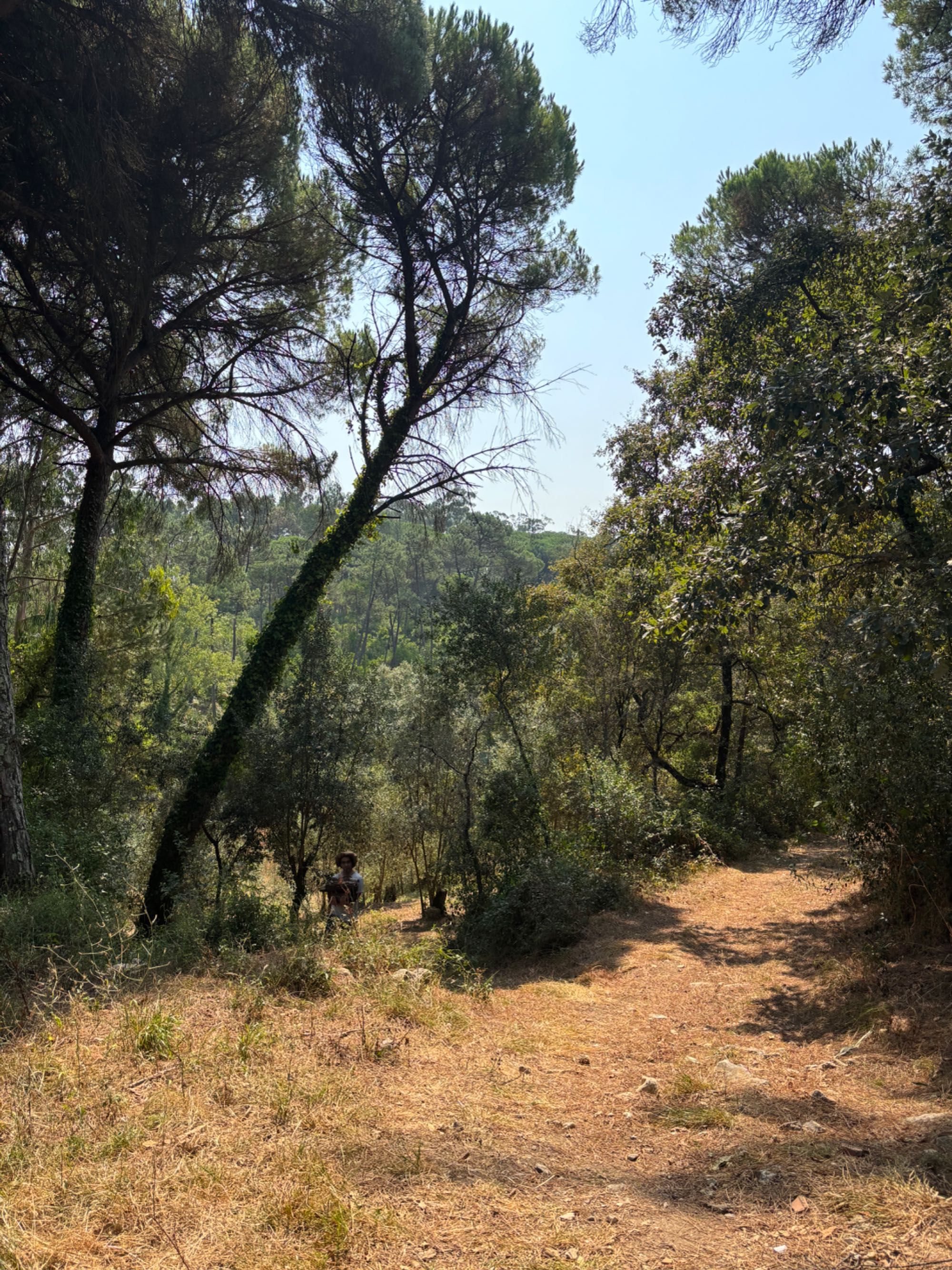Vendo 2 Terrenos Rústicos 1800 m2 c/ poço em Opeia/Leiria