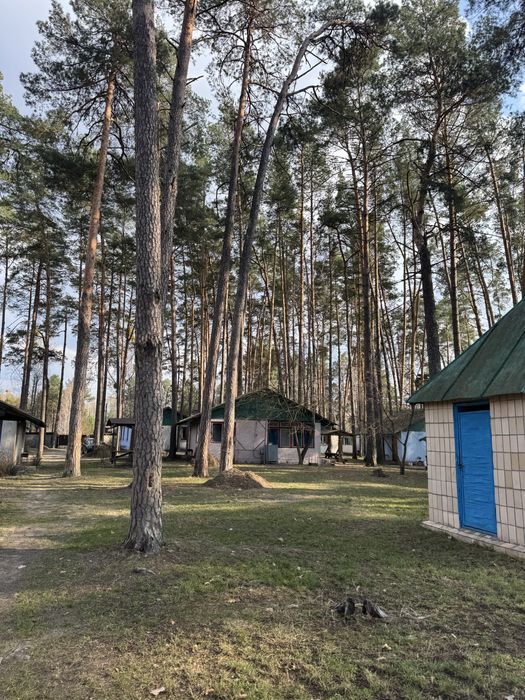 Продам діючу базу відпочинку