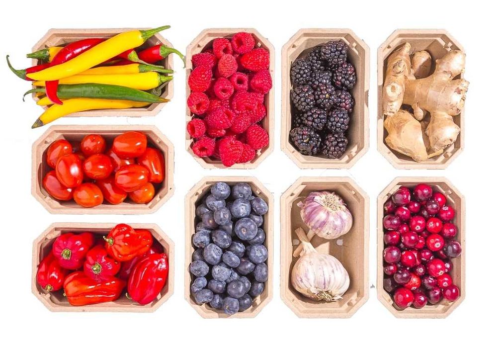 Pojemniki P200 Delight 200 g ekologiczne opakowania na maliny, borówki