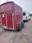 Transport koni ogiery, klacze, źrebaki cała Polska Zagranica