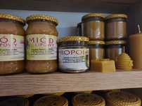 Kit pszczeli propolis