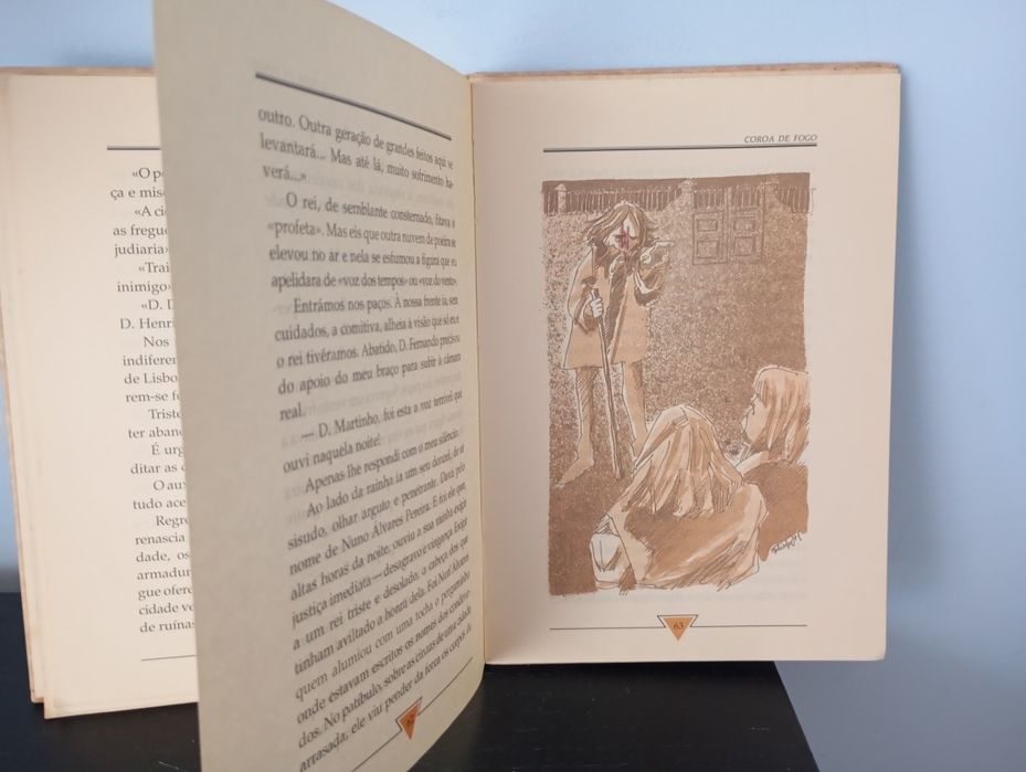 Livro " Coroa de fogo"