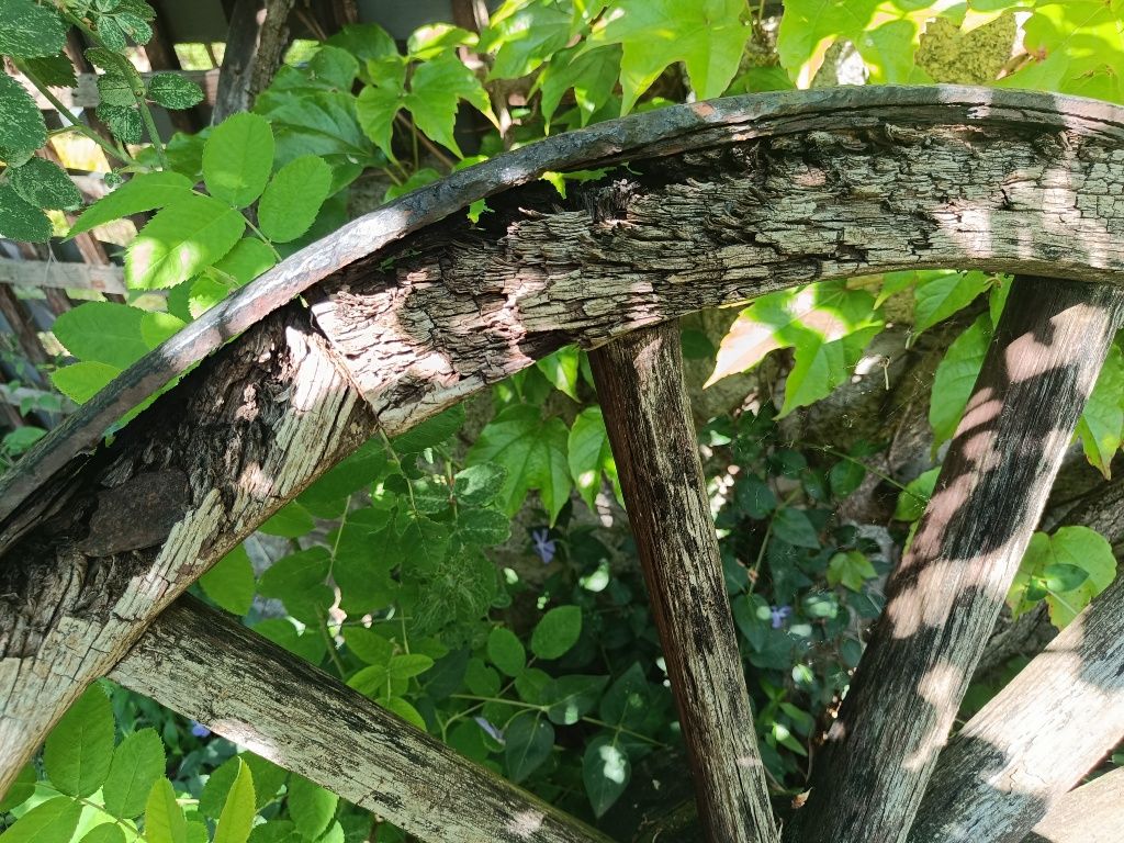 Stare duże koło drewniane 100cm
