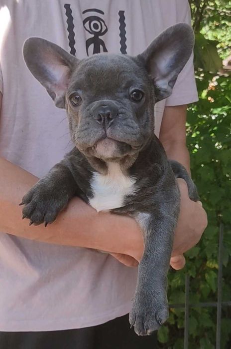 Голубой мальчик 3 месяца