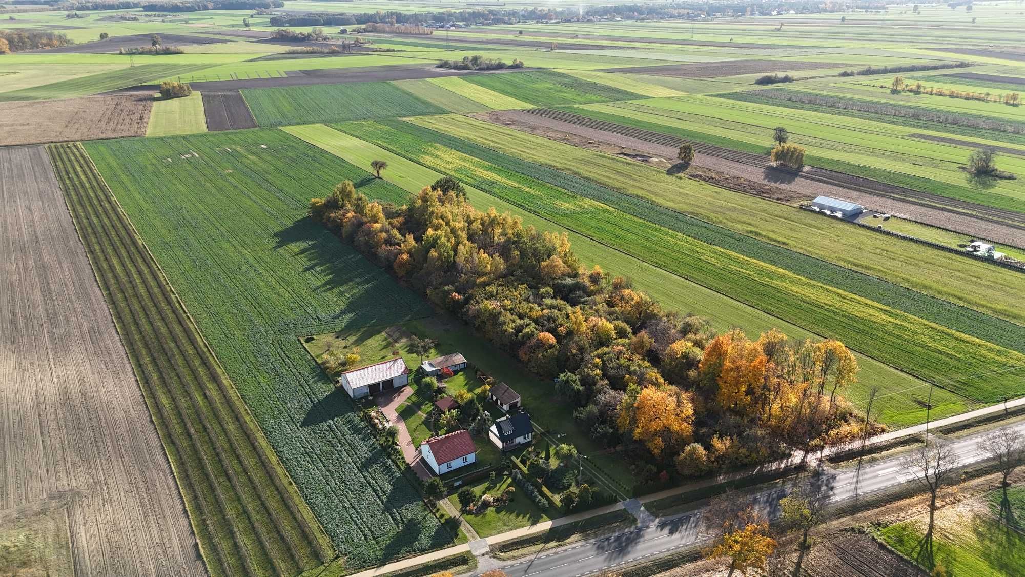 Działka rolno-budowlana przy trasie DK12 - 32000m2