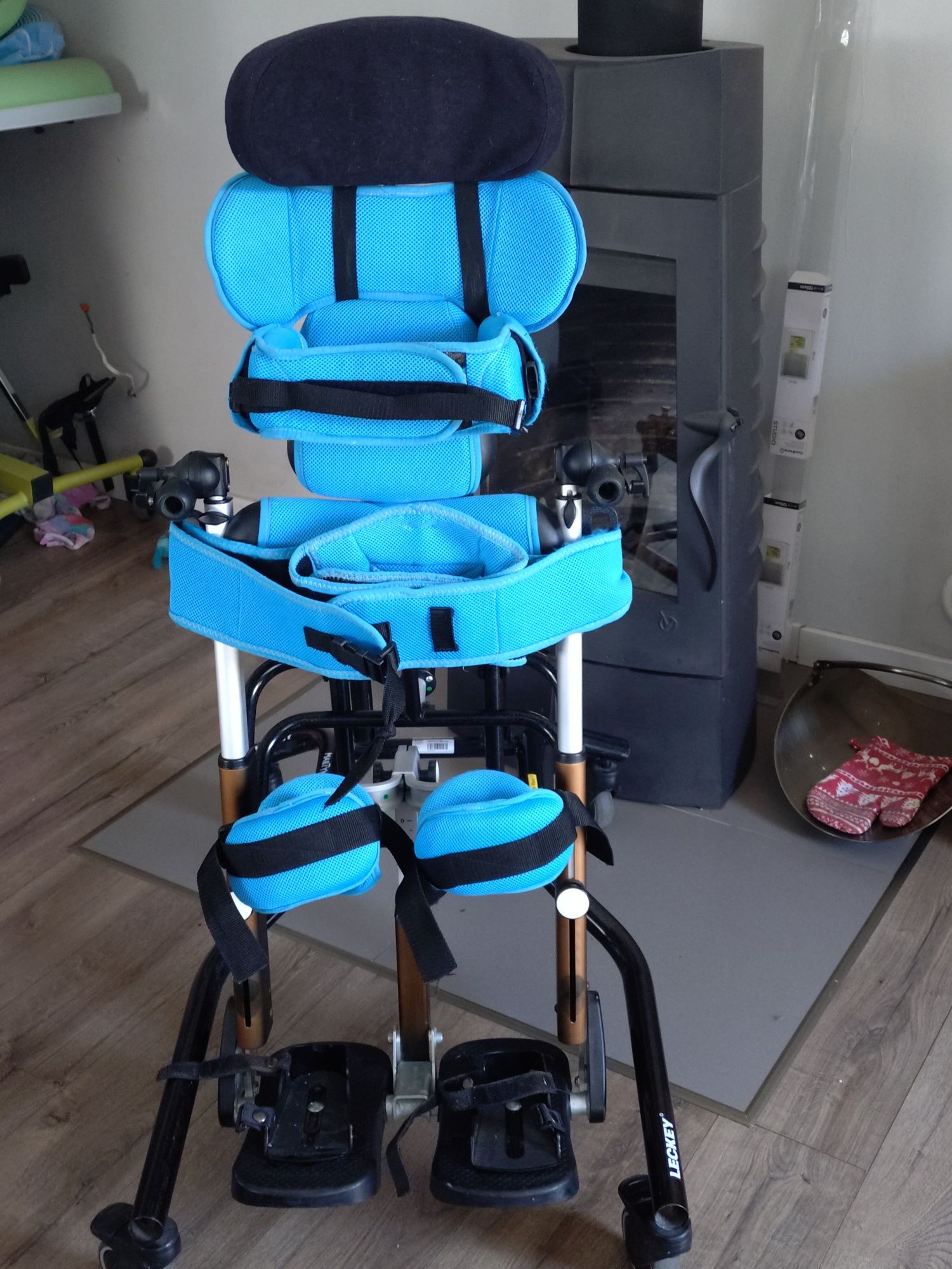 Pionizator leckey mygo stander 1