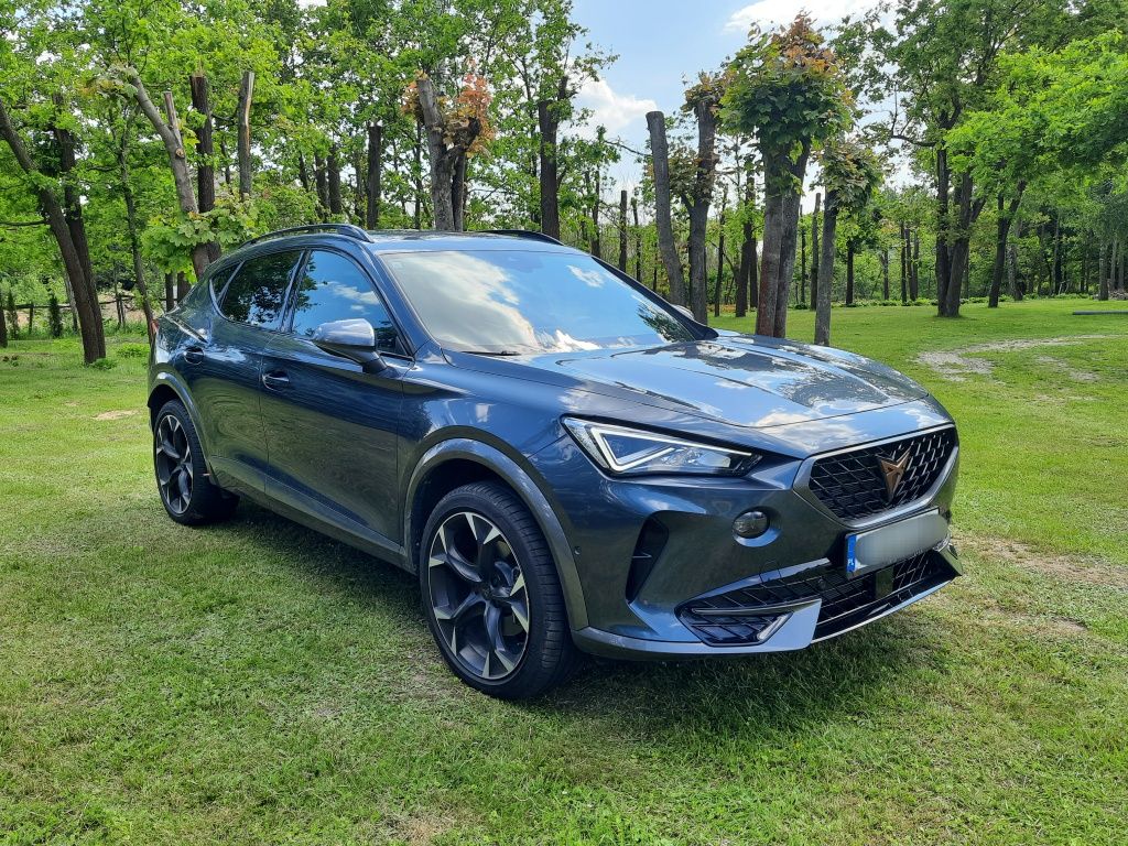 Cupra Formentor 2.0 TDI DSG 4Drive Kamera El Klapa