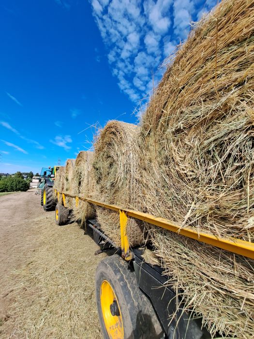 Siano dla koni w balotach z TRANSPORTEM