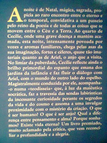 O Enigma e o Espelho de Jostein Gaarder