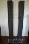 Kolumny Bang Olufsen