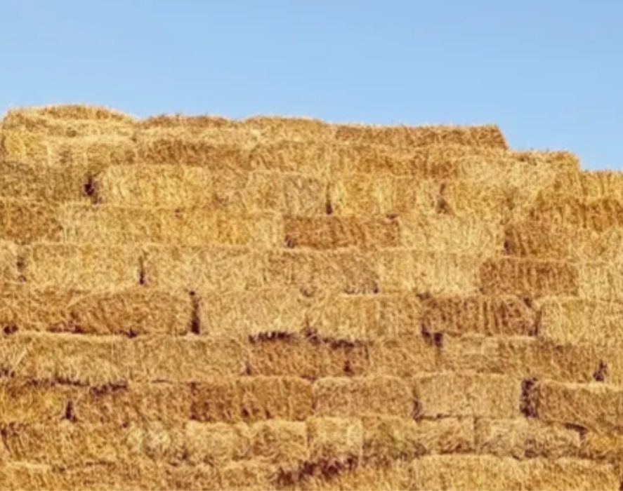 Продам солому 70грн