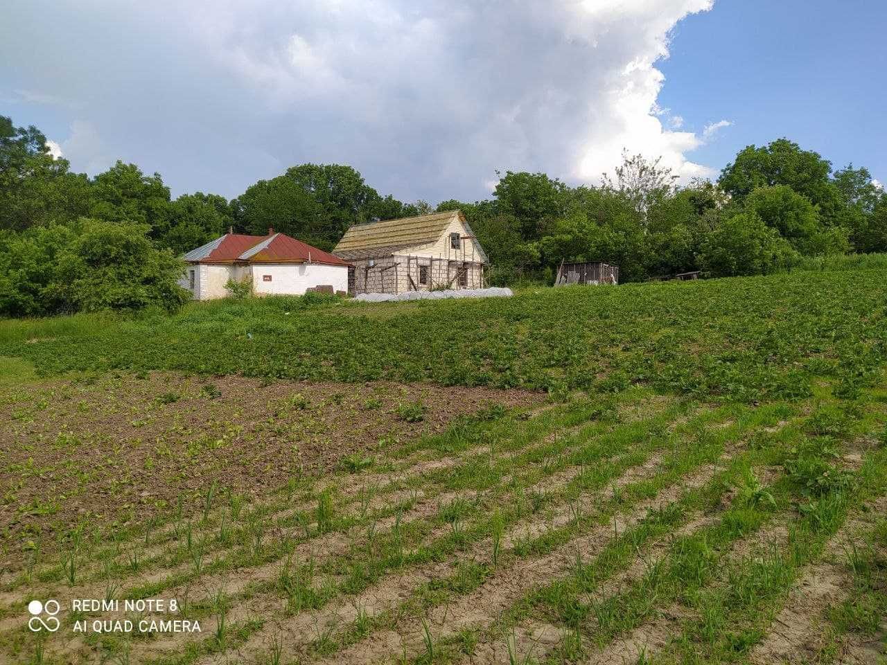 Будинок с. Івки Богуславський р-н