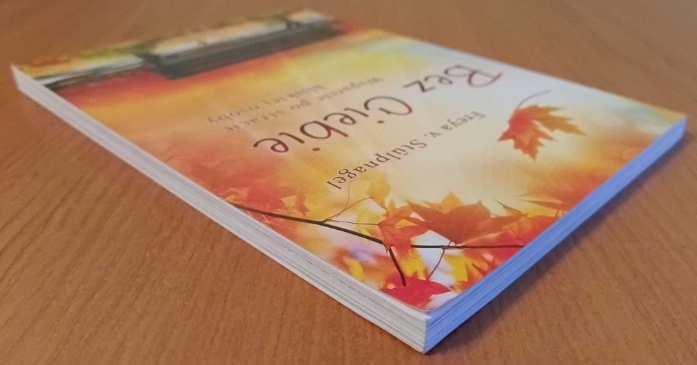 Freya v. Stülpnagel "Bez Ciebie. Wsparcie po stracie bliskiej osoby"