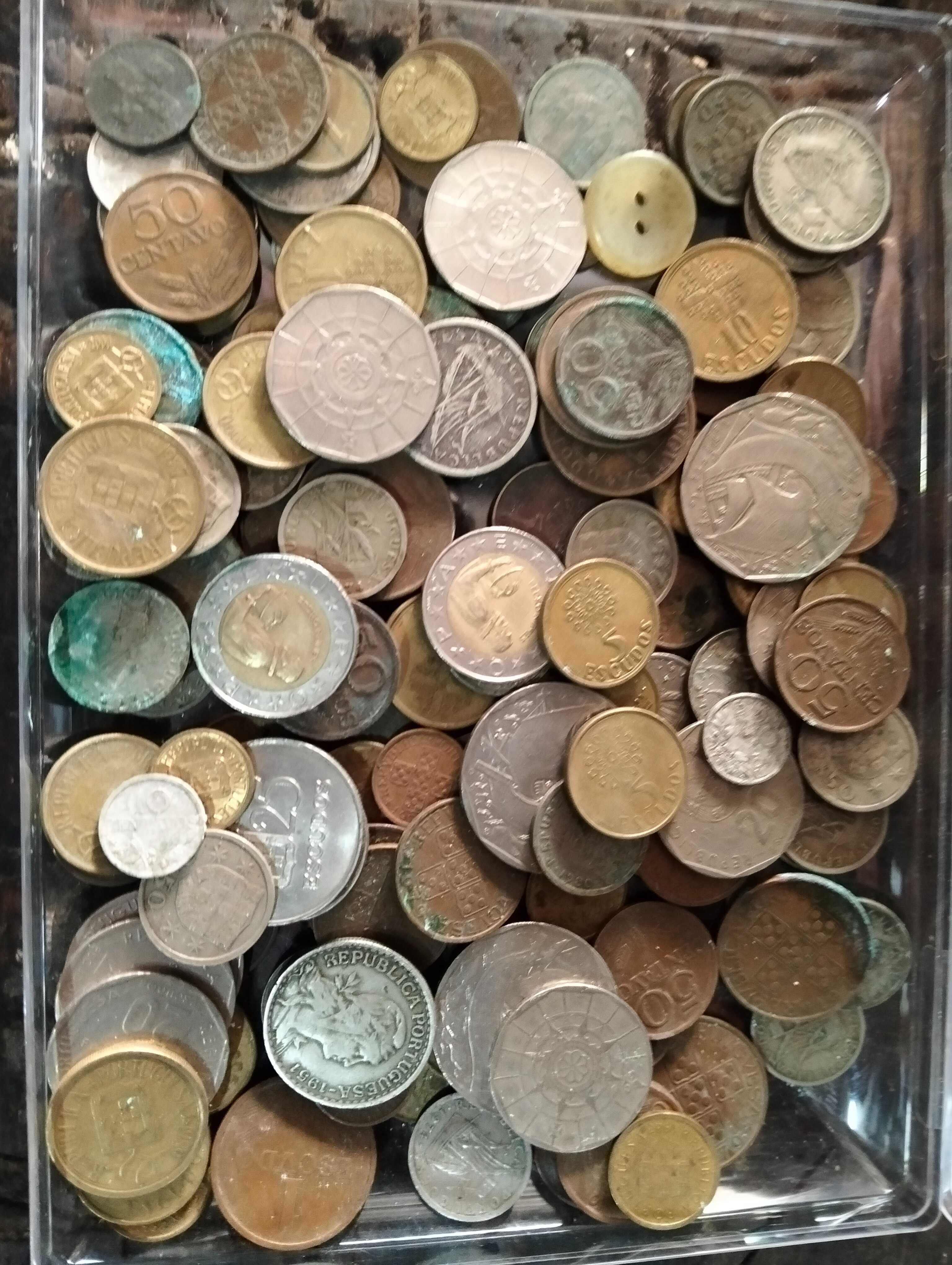 Moedas de escudos