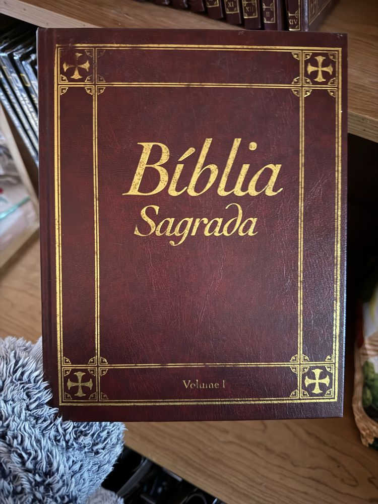 Coleção Biblia Sagrada