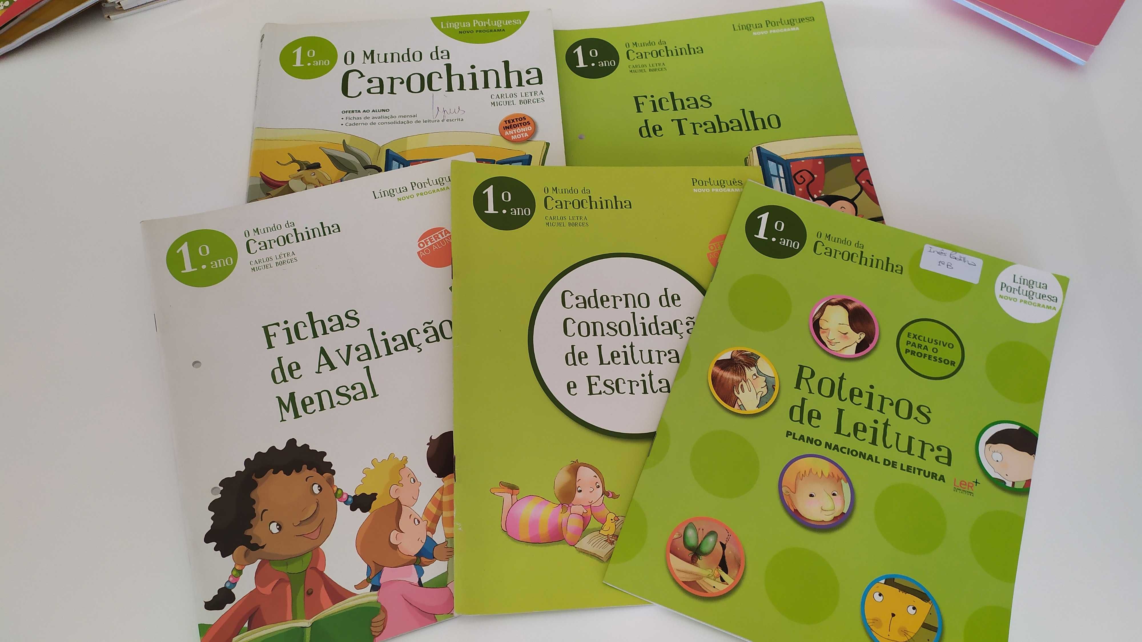 Livros, fichas de exercícios, etc. 1º ano