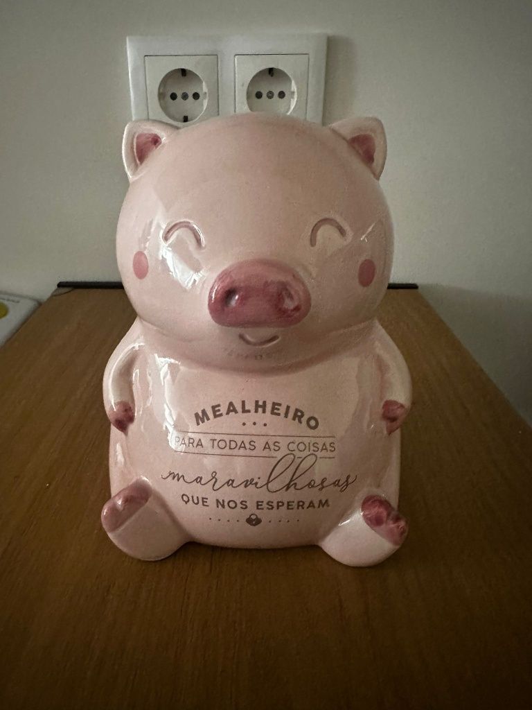 Porco Mealheiro Mr.Wonderdul