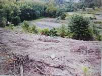 Terreno com área de construção - 800m área industrial