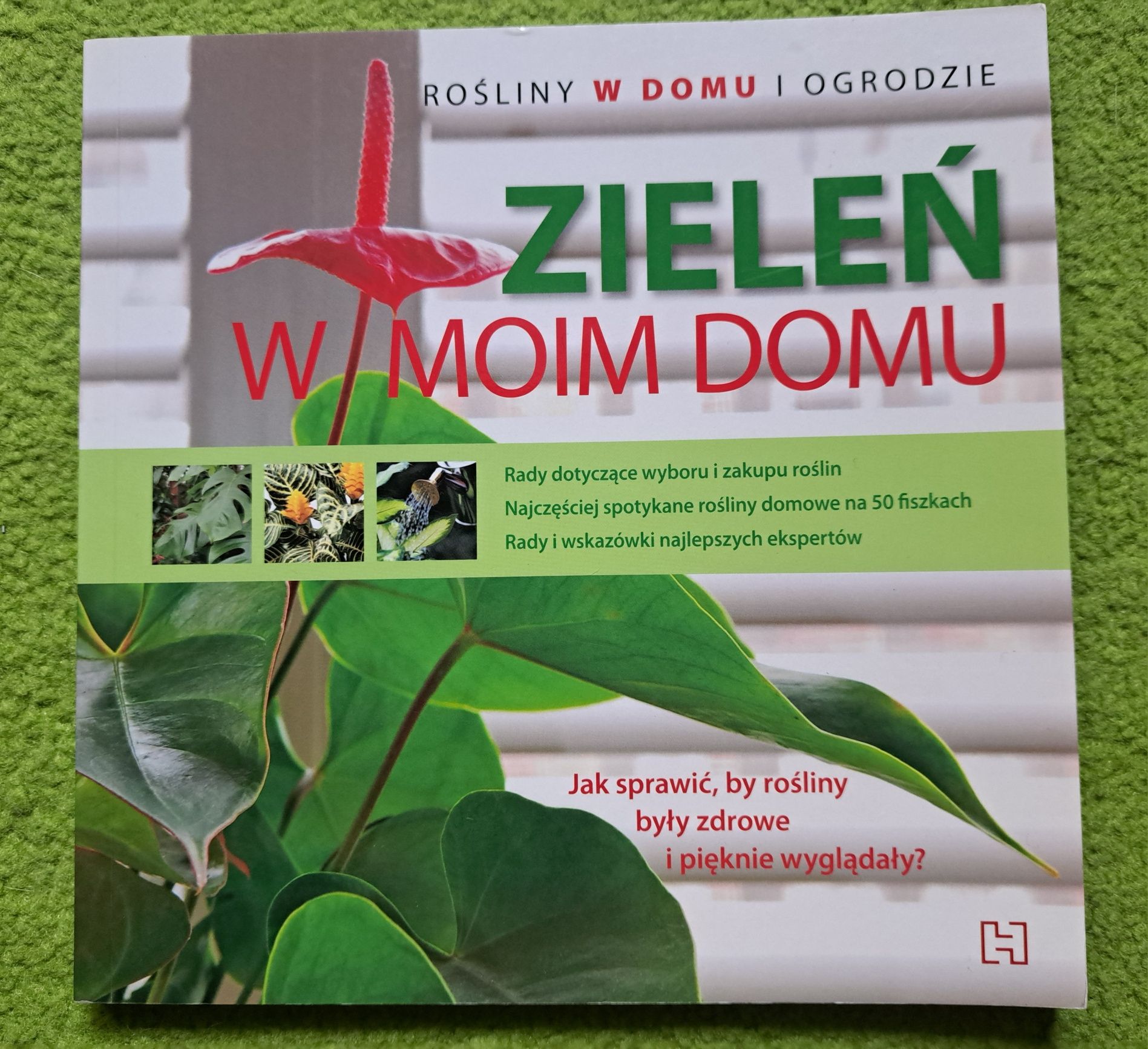 Zieleń w moim domu