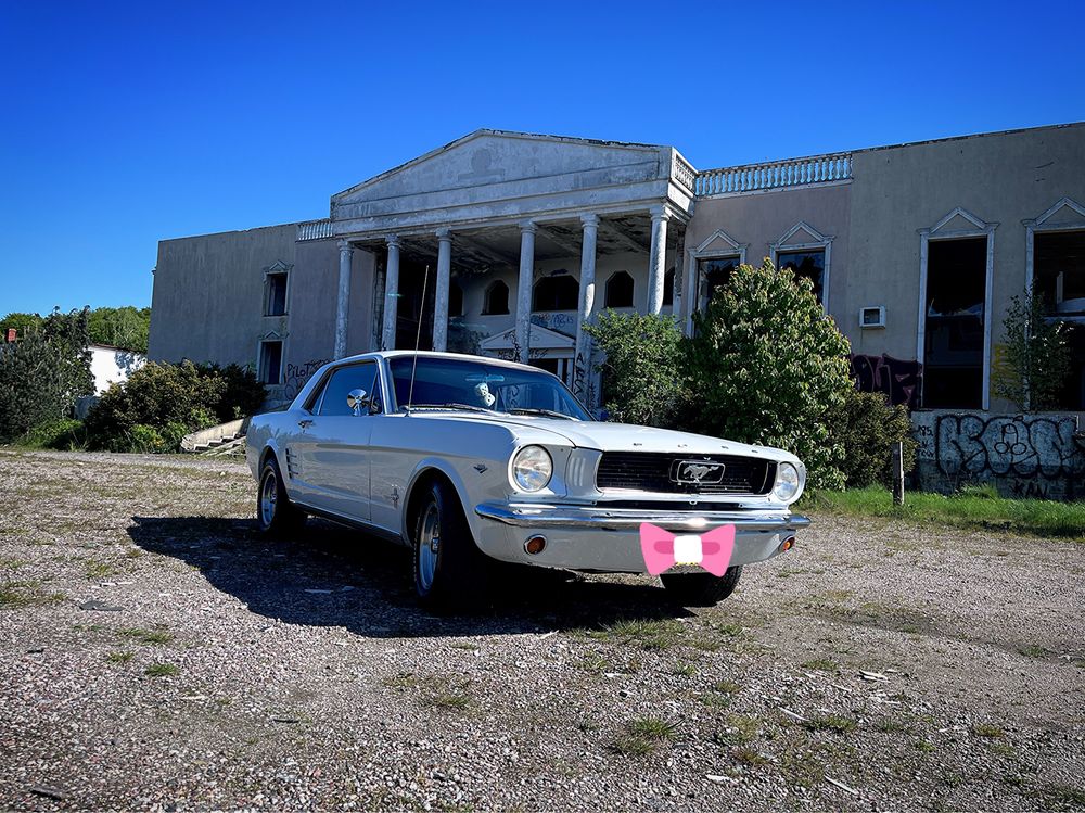 Samochód do ślubu Mustang 1966 Trójmiasto Pomorskie Auto Ślub Klasyk